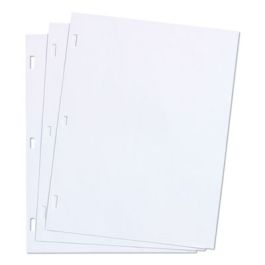 Ledger Sheets for Corporation and Minute Book, 11 x 8.5, White, Loose Sheet, 100/Box